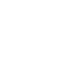 Eco Icon