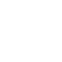 PKW Icon